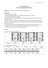 Keturių masių dinaminis balansavimas