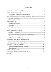 Išplėsti UAB ‚,Jurginėlis‘‘ veiklą, įsteigiant naują padalinį ,,Jurginas‘‘ 2 puslapis