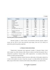 Išplėsti UAB ‚,Jurginėlis‘‘ veiklą, įsteigiant naują padalinį ,,Jurginas‘‘ 13 puslapis