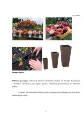 Išplėsti UAB ‚,Jurginėlis‘‘ veiklą, įsteigiant naują padalinį ,,Jurginas‘‘ 5 puslapis