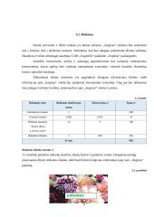 Išplėsti UAB ‚,Jurginėlis‘‘ veiklą, įsteigiant naują padalinį ,,Jurginas‘‘ 9 puslapis