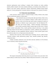 Sveikata ir gyvenimo pokyčiai 17 puslapis