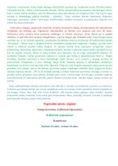 Kada žmogus svetimas sau ir kada svetimas kitiems? 2 puslapis