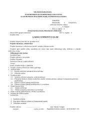 Garso stiprintuvas 4W