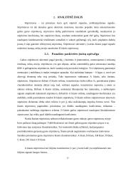 Garso stiprintuvas 4W 10 puslapis