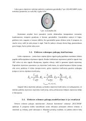 Garso stiprintuvas 4W 19 puslapis