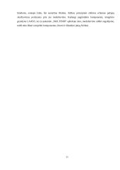 Garso stiprintuvas 4W 20 puslapis