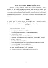 Garso stiprintuvas 4W 8 puslapis