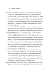 Svėrimo ir matavimo įranga 2 puslapis