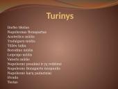 Napoleono karai 1805 - 1815 m. 2 puslapis