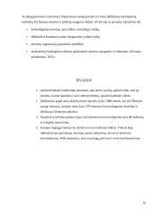 Didžiausi teroro išpuoliai Europoje 10 puslapis