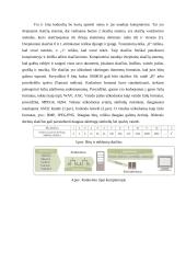 Video ir audio informacijos kodavimas 6 puslapis