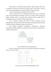 Video ir audio informacijos kodavimas 9 puslapis