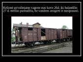 Sibiro tremtiniams atminti 12 puslapis