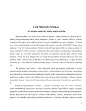 IKI vartotojo profilio tyrimas Kauno mieste  2 puslapis
