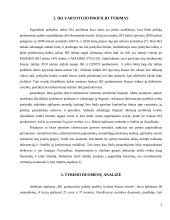 IKI vartotojo profilio tyrimas Kauno mieste  4 puslapis