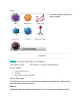 Neuromokslų temų kartojimas 2 puslapis