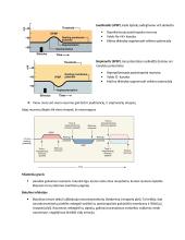 Neuromokslų temų kartojimas 11 puslapis