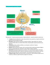 Neuromokslų temų kartojimas 13 puslapis