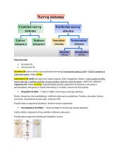 Neuromokslų temų kartojimas 15 puslapis