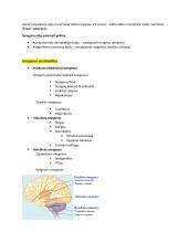 Neuromokslų temų kartojimas 17 puslapis