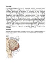 Neuromokslų temų kartojimas 19 puslapis
