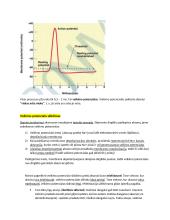 Neuromokslų temų kartojimas 6 puslapis