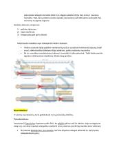 Neuromokslų temų kartojimas 7 puslapis