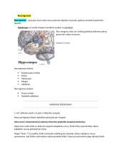 Neuromokslų temų kartojimas 8 puslapis