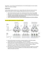Neuromokslų temų kartojimas 9 puslapis
