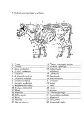 Gyvulių anatomijos ir fiziologijos dalyko savarankiško darbo užduotis 3 puslapis