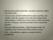 Antanas Baranauskas 1835 m. - 1902 m. 7 puslapis