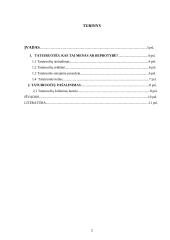 Tatuiruotės 2 puslapis