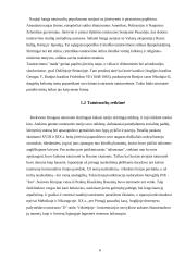 Tatuiruotės 6 puslapis