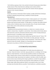 Tatuiruotės 8 puslapis