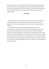 Tatuiruotės 10 puslapis