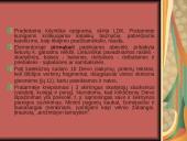 Martynas Mažvydas – pirmosios lietuviškos knygos autorius 8 puslapis