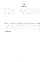 Tautos pasaulėjautos atspindžiai lietuvių  leksikoje ir frazeologijoje 13 puslapis