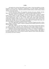 Tautos pasaulėjautos atspindžiai lietuvių  leksikoje ir frazeologijoje 3 puslapis