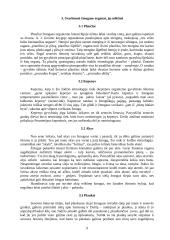 Tautos pasaulėjautos atspindžiai lietuvių  leksikoje ir frazeologijoje 9 puslapis