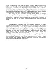 Tautos pasaulėjautos atspindžiai lietuvių  leksikoje ir frazeologijoje 10 puslapis