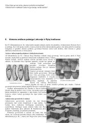 7 klasės istorijos mokomoji medžiaga 12 puslapis