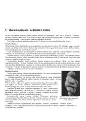 7 klasės istorijos mokomoji medžiaga 14 puslapis