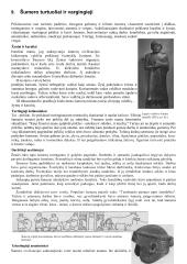 7 klasės istorijos mokomoji medžiaga 19 puslapis