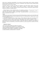 7 klasės istorijos mokomoji medžiaga 20 puslapis