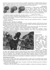 7 klasės istorijos mokomoji medžiaga 5 puslapis