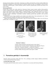 7 klasės istorijos mokomoji medžiaga 6 puslapis