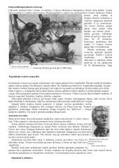 7 klasės istorijos mokomoji medžiaga 9 puslapis