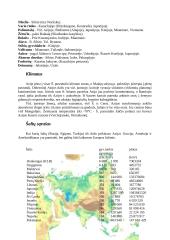 Azijos reljefas ir geologija 3 puslapis