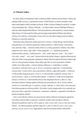 Tipologinė kalbų klasifikacija 3 puslapis